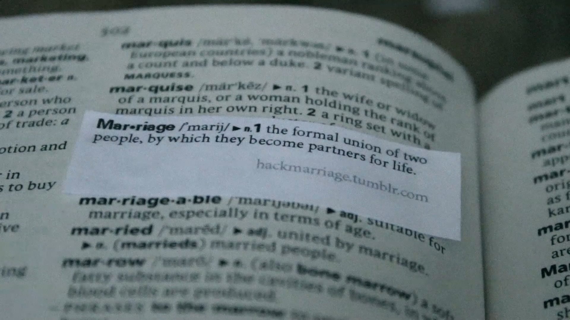 Hack Marriage
